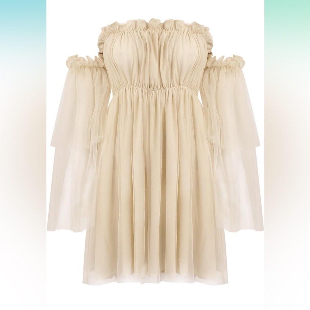 Off Shoulder Mesh Dress